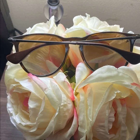 Ray-Ban Brown Sunglasses - Picture 2 of 5